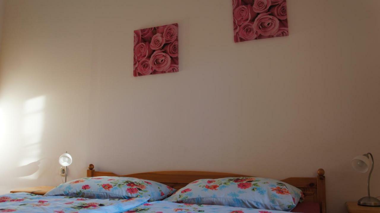 Ivo Apartments ロゴズニッツァ エクステリア 写真