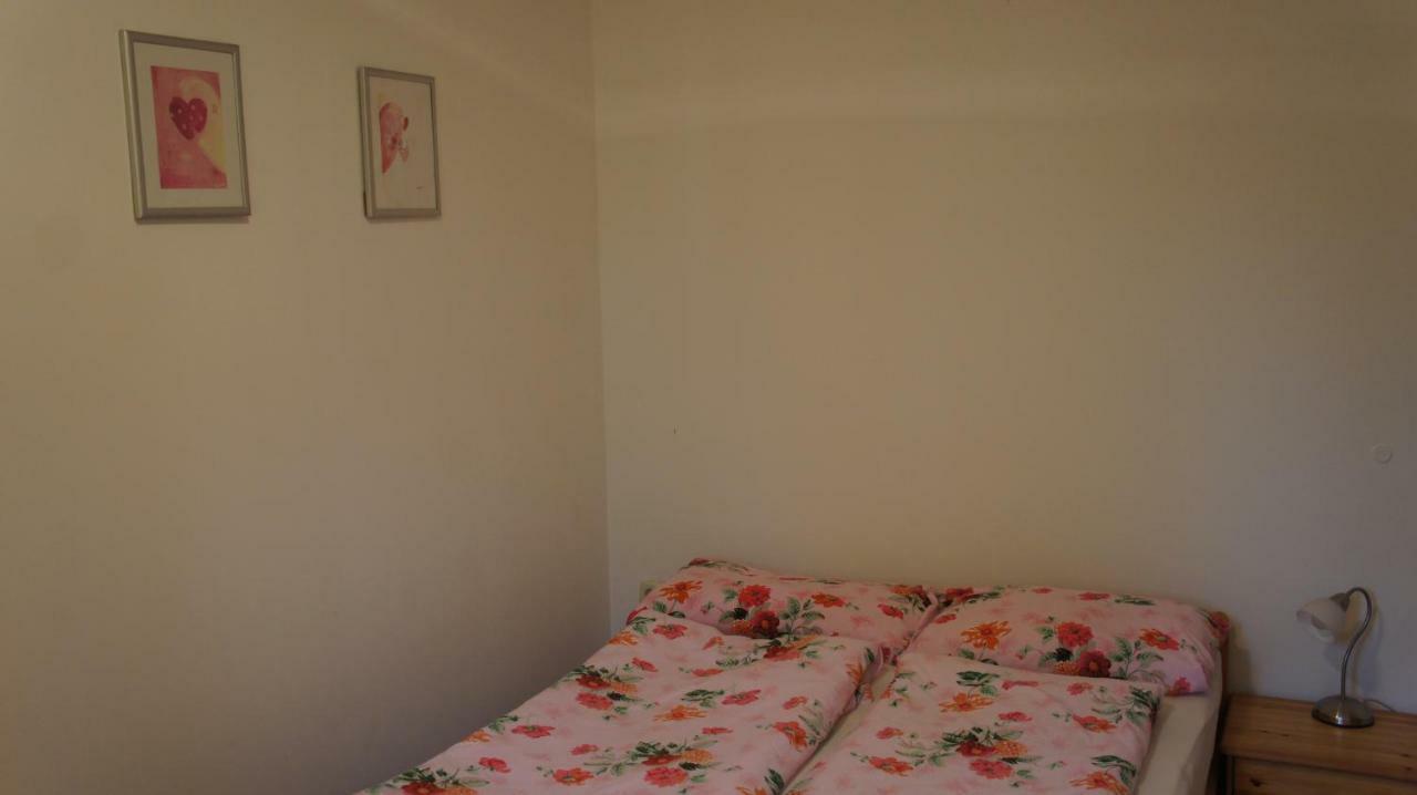 Ivo Apartments ロゴズニッツァ エクステリア 写真